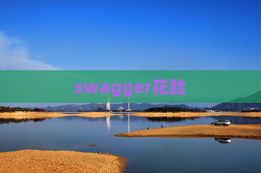 swagger花脸 swagger花脸
